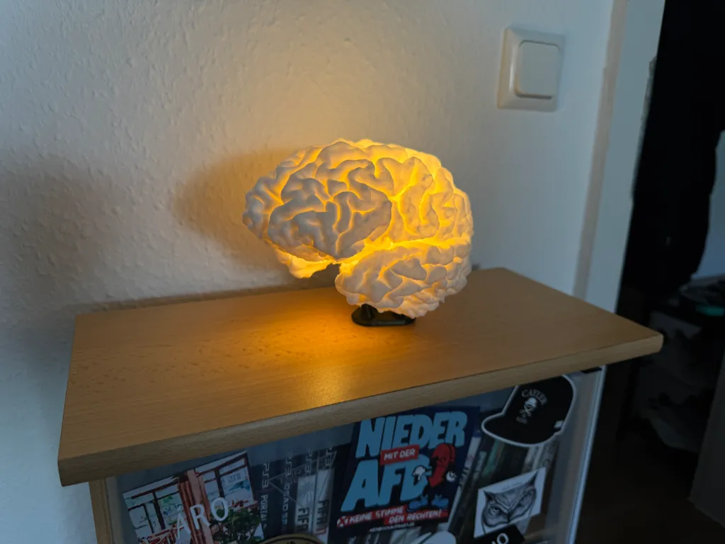 Lampe Cerveau - Précise & Taille Réelle 3.webp