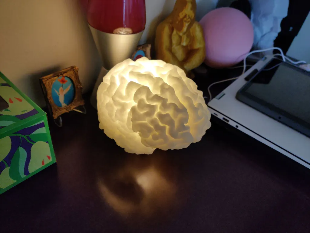 Lampe Cerveau - Précise & Taille Réelle 2.webp