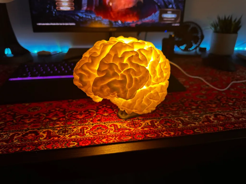 Lampe Cerveau - Précise & Taille Réelle 4.webp