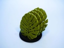 Sous-verre feuille de Monstera - 2
