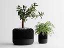 Vases à plantes de style Home Pod Apple moderne